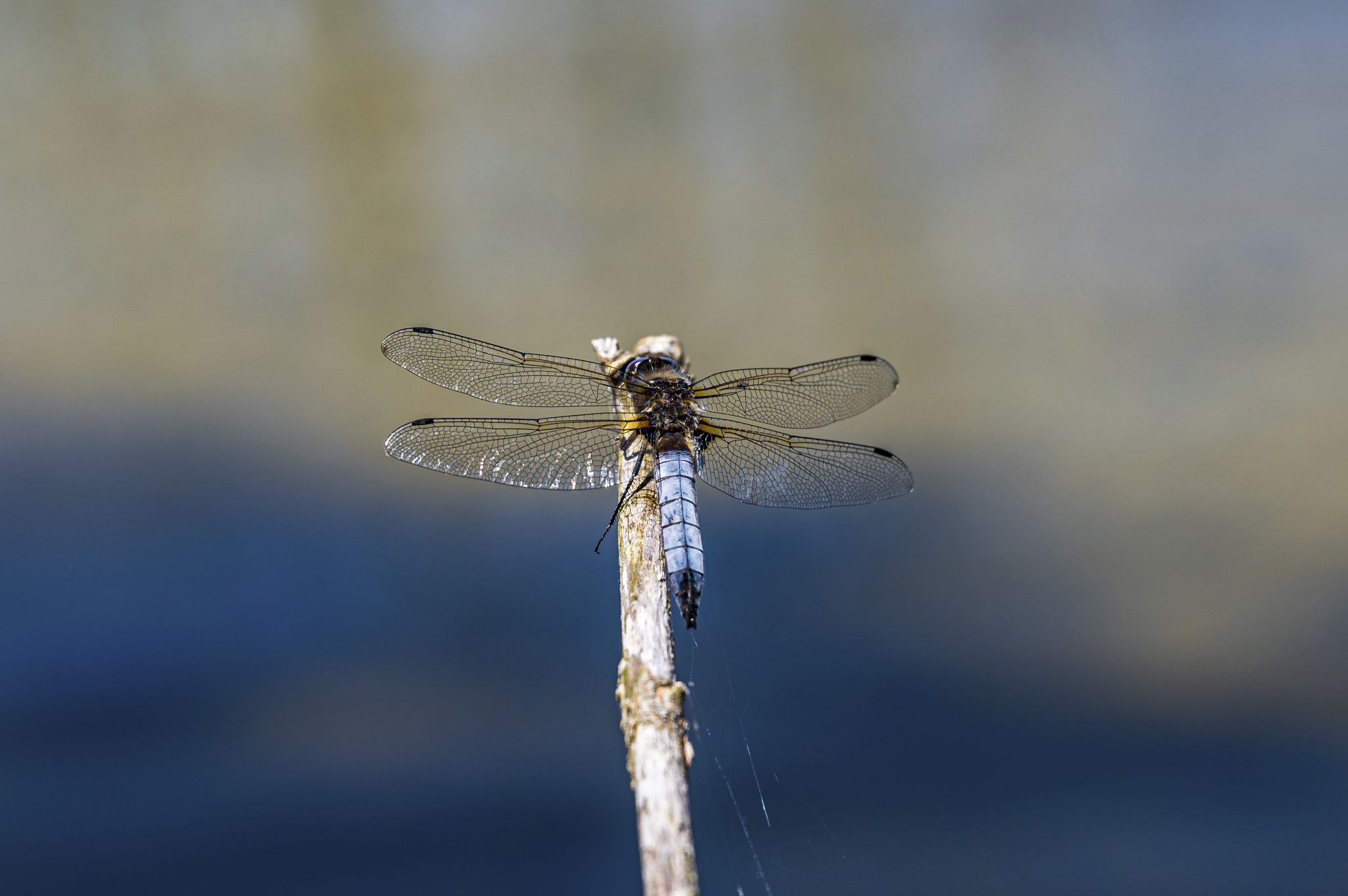 Kajaktour Staffelsee 12.06.22